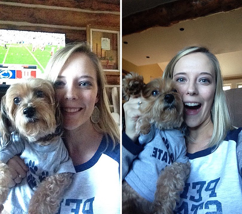 sophie 1 year anniversary yorkiepoo yorkshire terrier poodle 62