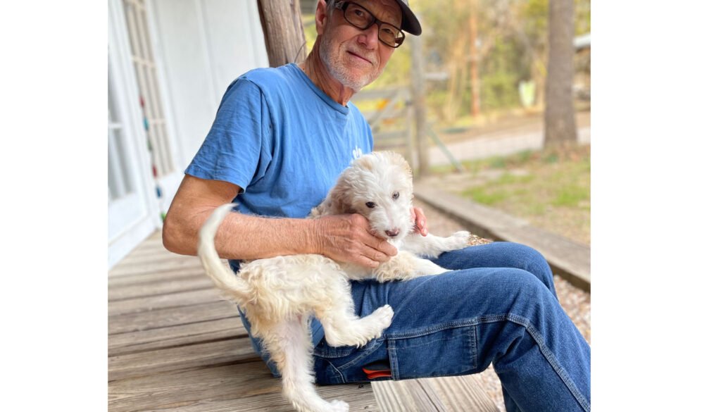 isla john puppy 1024x585